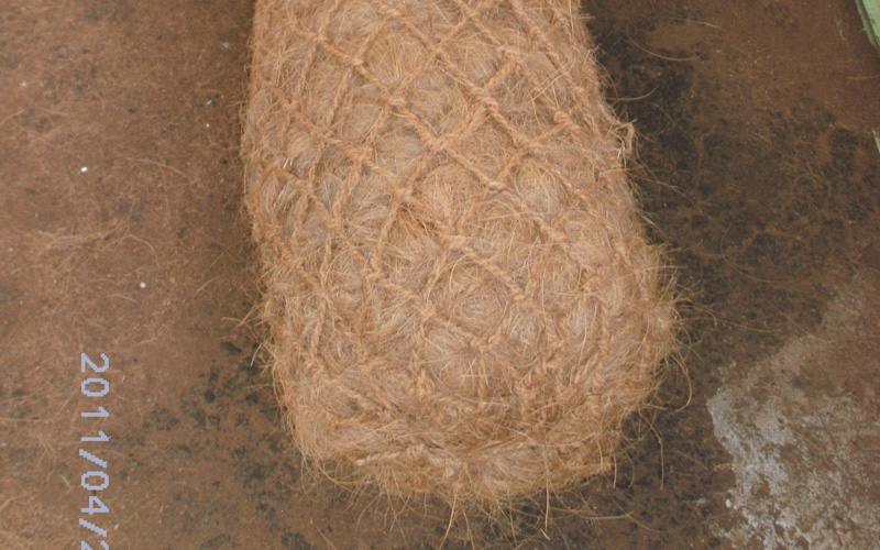 coir pillow