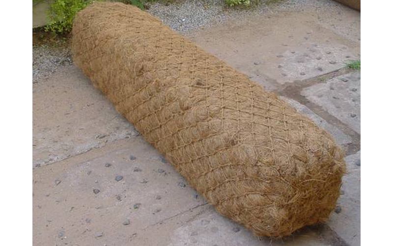 coir pillow