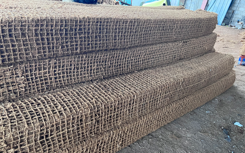 coir pillow