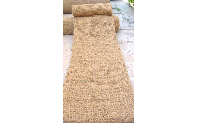 coir pillow