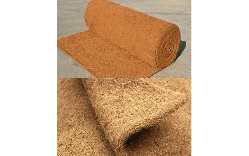 coir pillow